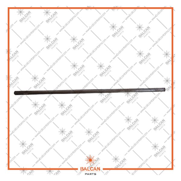 BL 519 - HAŞBAY ANA MİLİ