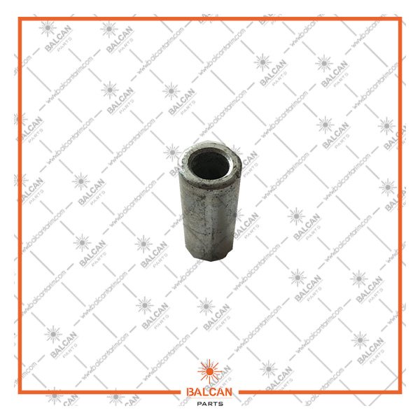 BL 485 - HAŞBAY CIRCIR FİŞEĞİ