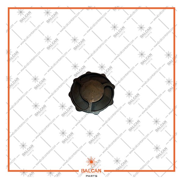 BL 482 - HAŞBAY CIRCIRI (İÇ) TABLASI